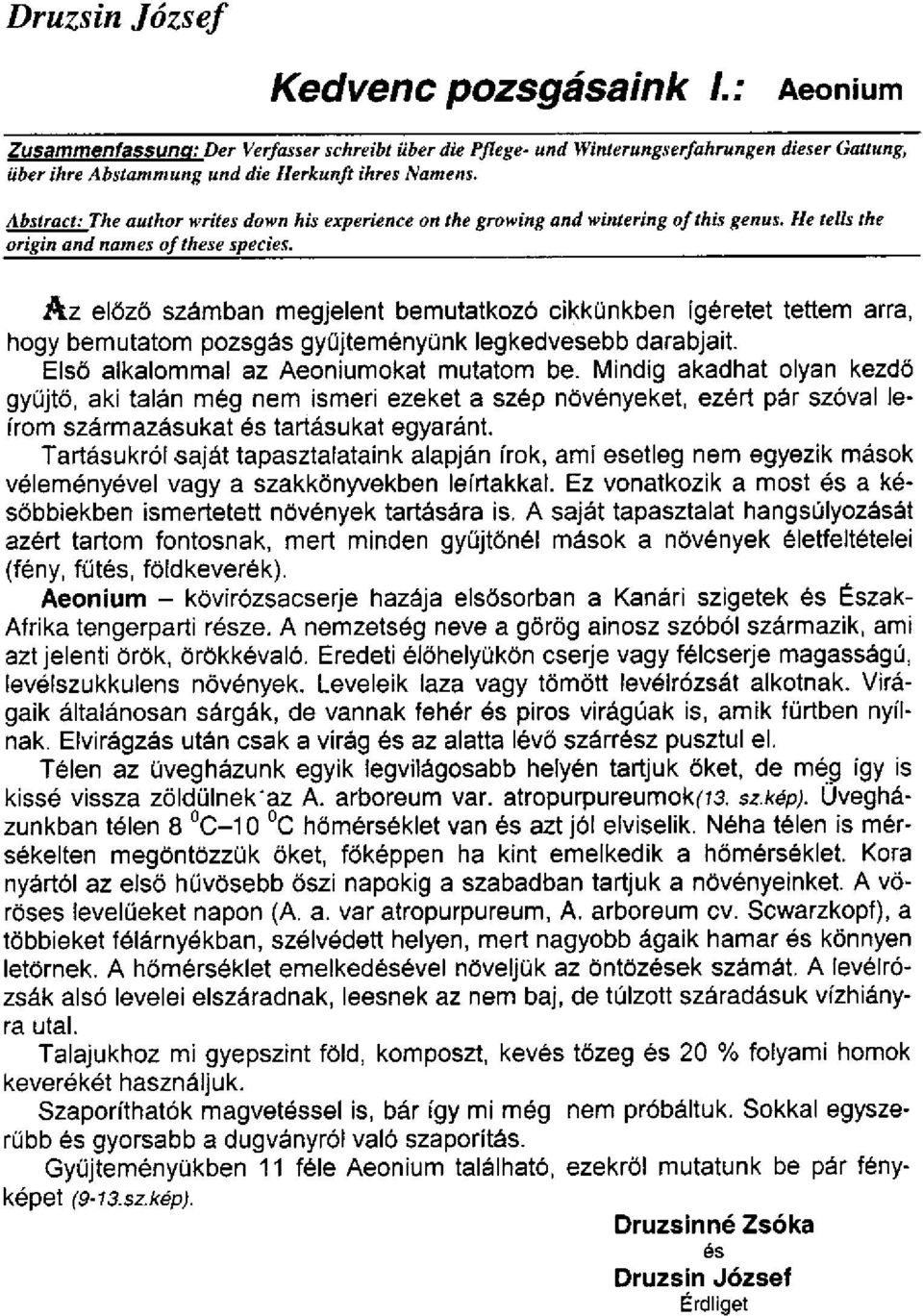 Az előző számban megjelent bemutatkozó cikkünkben ígéretet tettem arra, hogy bemutatom pozsgás gyűjteményünk legkedvesebb darabjait. Első alkalommal az Aeoniumokat mutatom be.