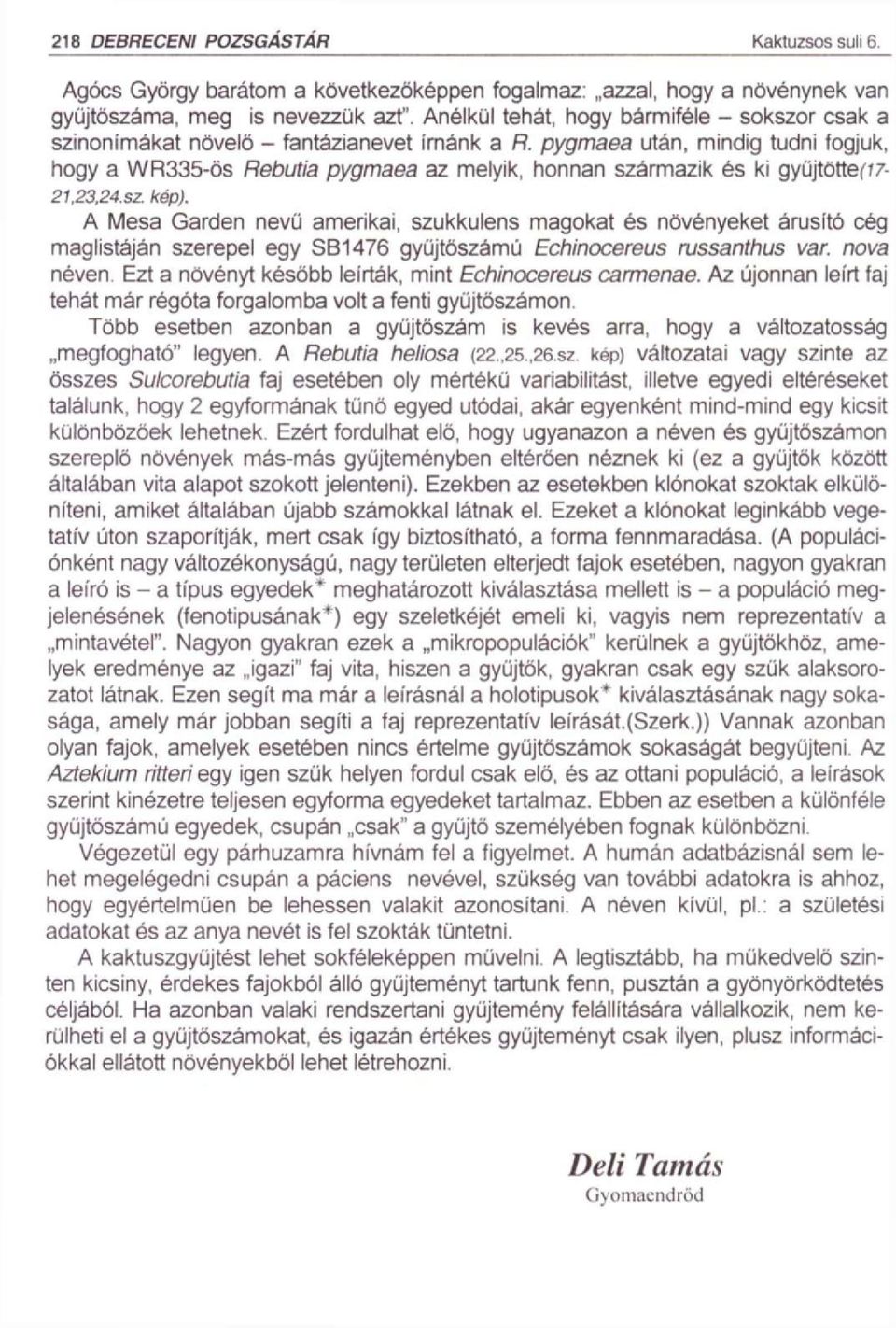 pygmaea után, mindig tudni fogjuk, hogy a WR335-ŐS Rebutia pygmaea az melyik, honnan származik és ki gyüjtötte('?7-21.23,24.sz. kép).