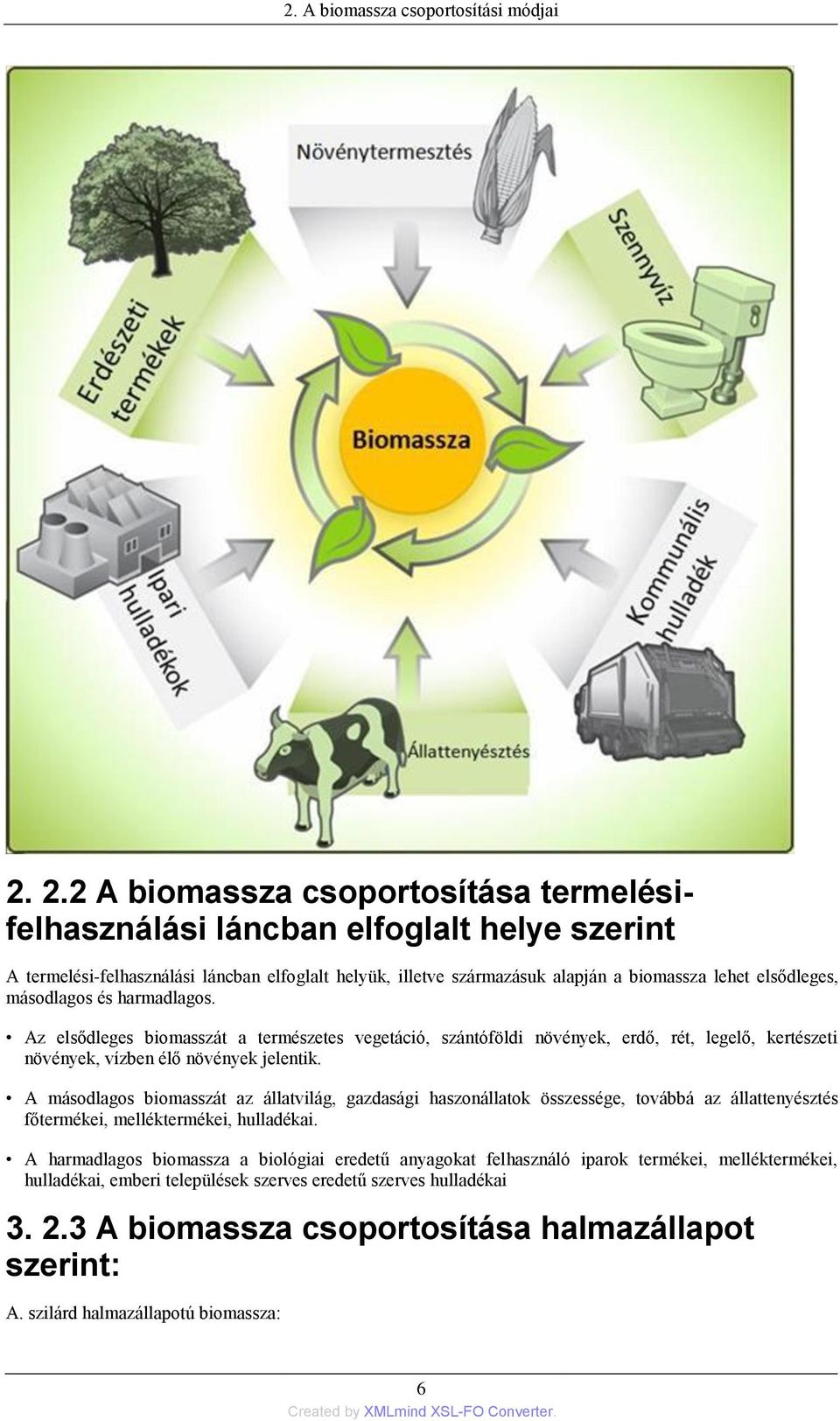 másodlagos és harmadlagos. Az elsődleges biomasszát a természetes vegetáció, szántóföldi növények, erdő, rét, legelő, kertészeti növények, vízben élő növények jelentik.