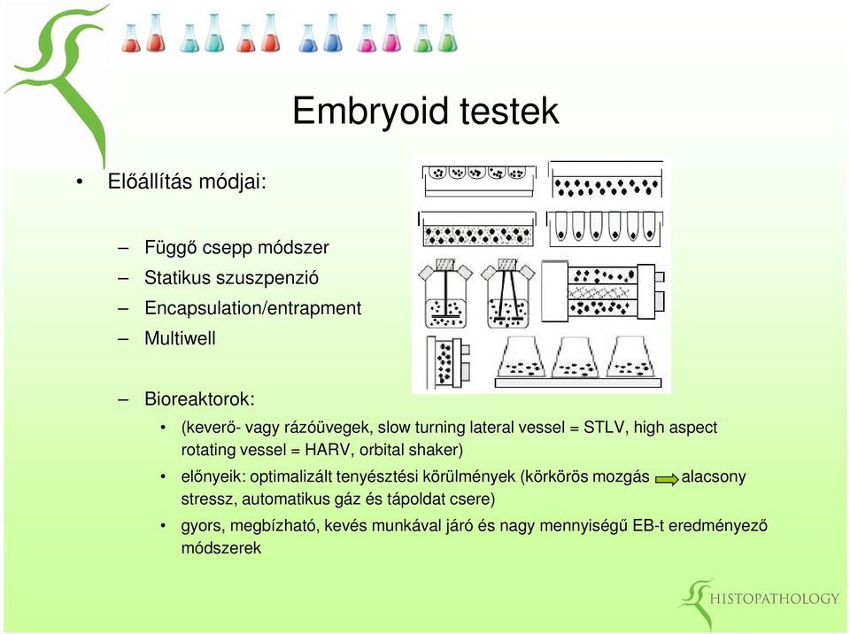 vessel = HARV, orbital shaker) előnyeik: optimalizált tenyésztési körülmények (körkörös mozgás alacsony