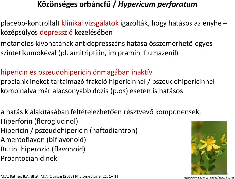 amitriptilin, imipramin, flumazenil) hipericinés pszeudohipericinönmagában inaktív procianidineket tartalmazó frakció hipericinnel/ pszeudohipericinnel kombinálva már alacsonyabb dózis (p.