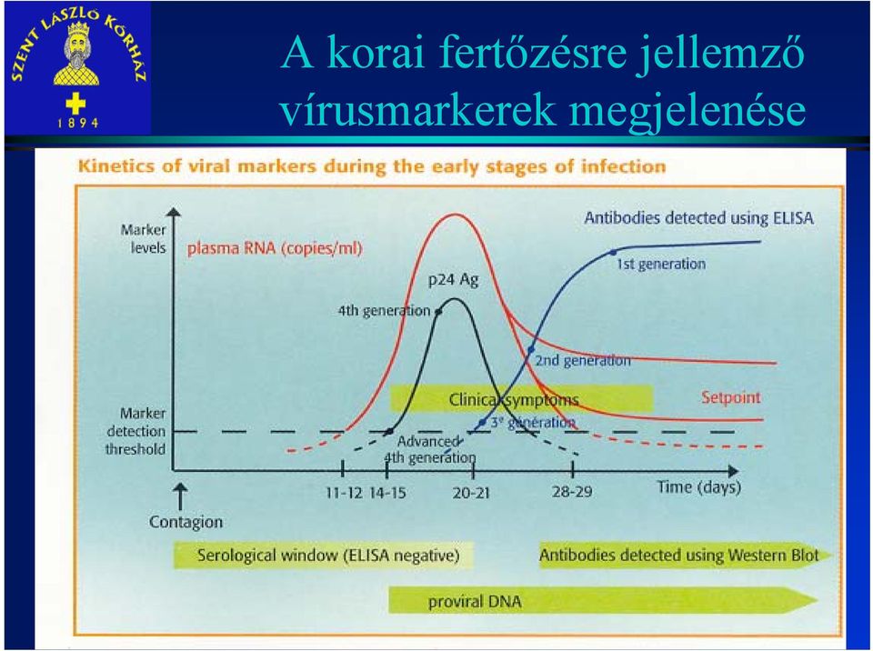 jellemző