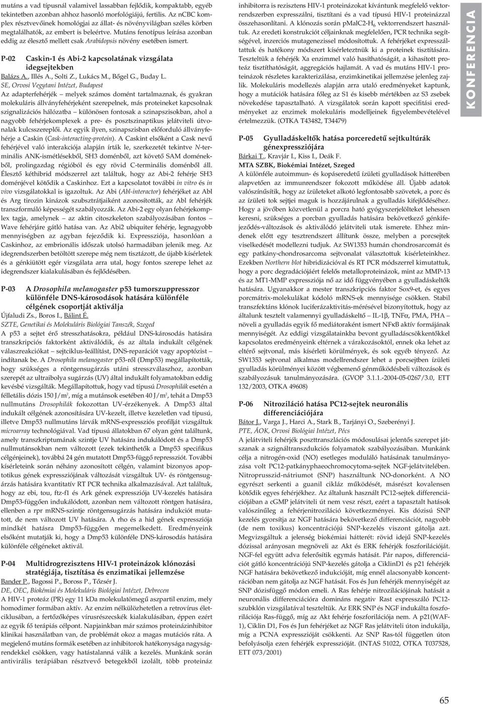 Mutáns fenotípus leírása azonban eddig az élesztô mellett csak Arabidopsis növény esetében ismert. P-02 Caskin- és Abi-2 kapcsolatának vizsgálata idegsejtekben Balázs A., Illés A., Solti Z., Lukács M.