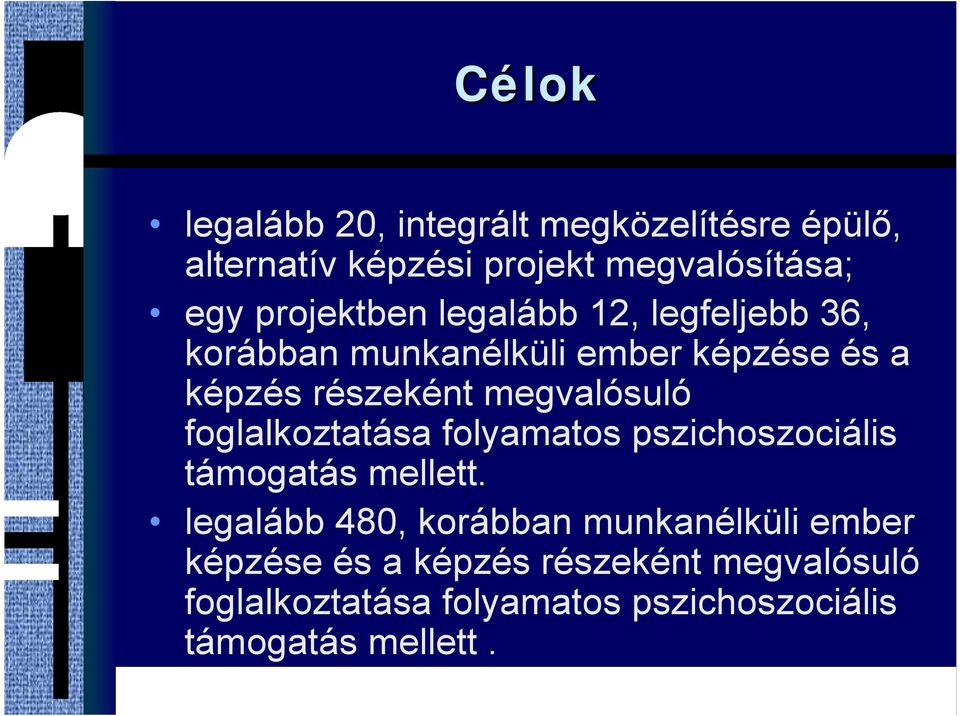 megvalósuló foglalkoztatása folyamatos pszichoszociális támogatás mellett.