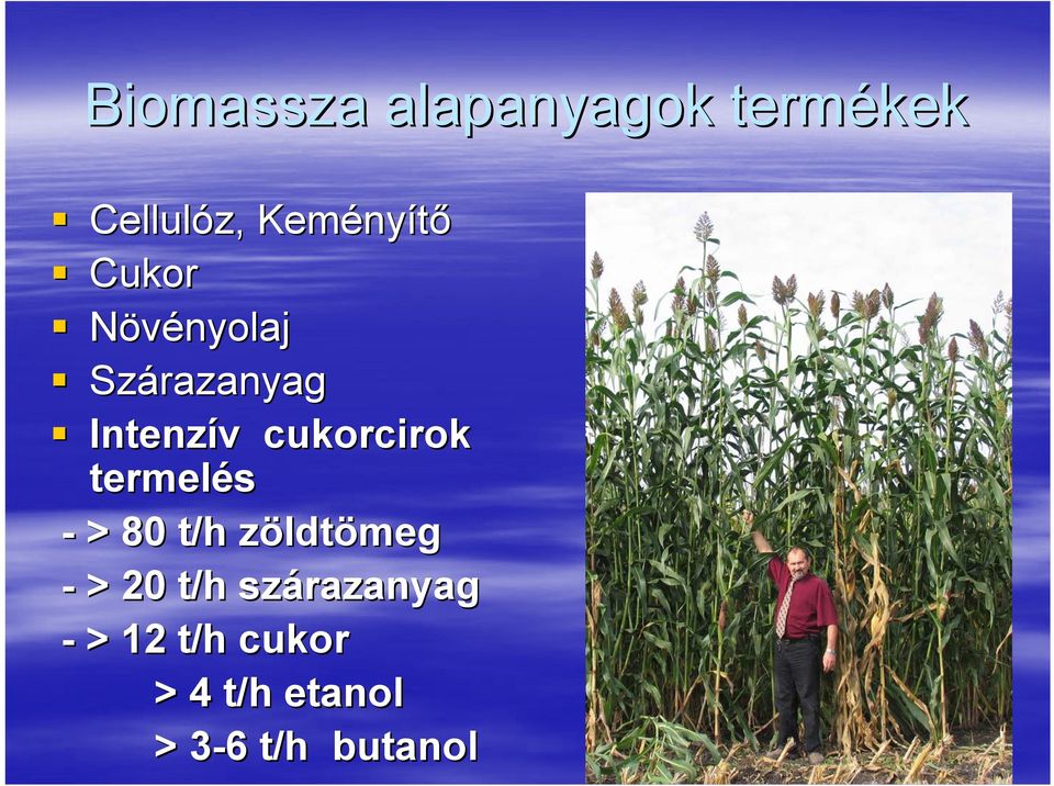 termelés - > 80 t/h zöldtz ldtömeg - > 20 t/h