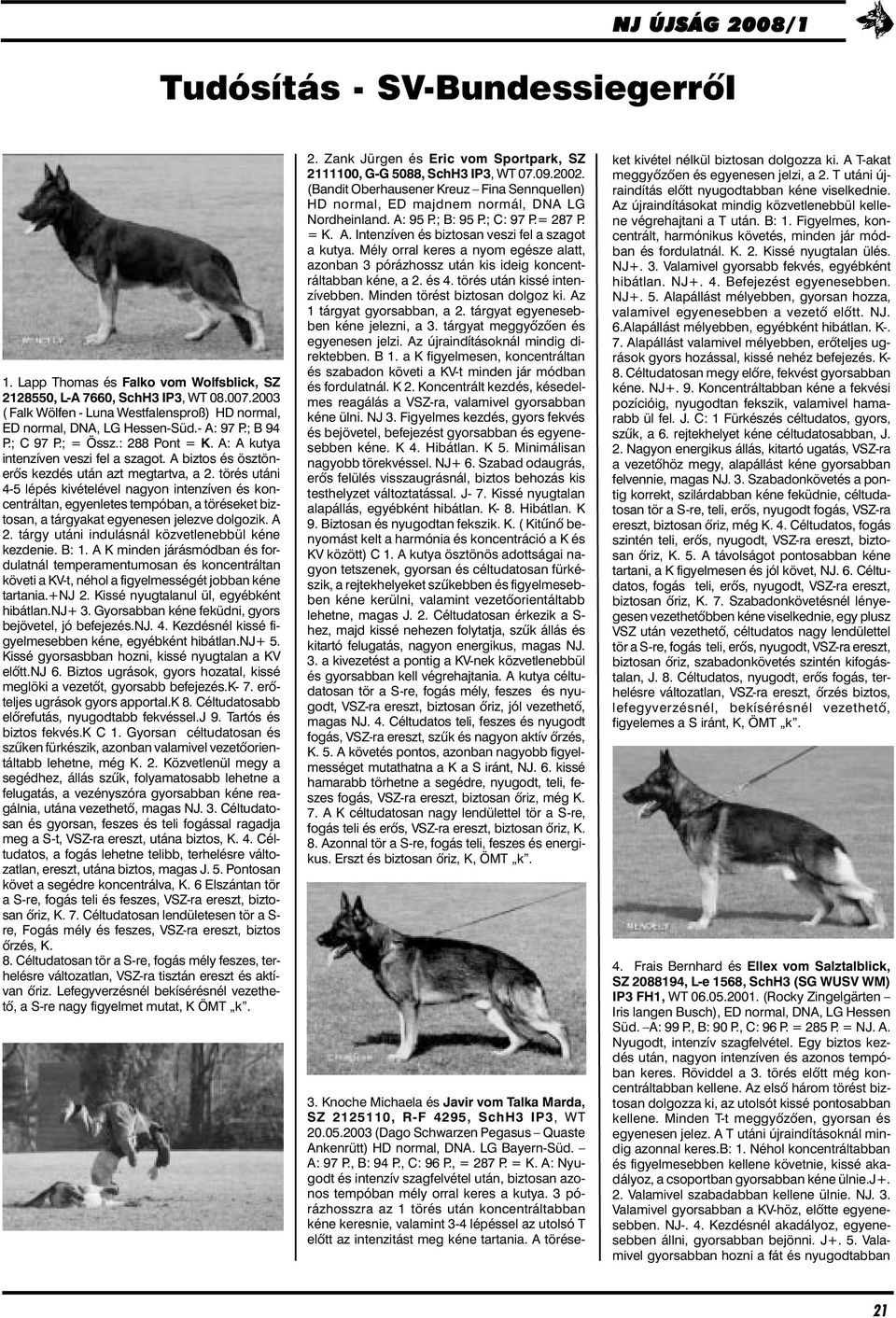 törés utáni 4-5 lépés kivételével nagyon intenzíven és koncentráltan, egyenletes tempóban, a töréseket biztosan, a tárgyakat egyenesen jelezve dolgozik. A 2.