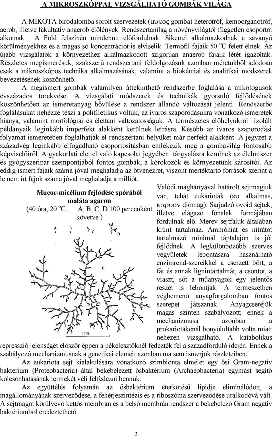 Termofil fajaik 50 o C felett élnek. Az újabb vizsgálatok a környezethez alkalmazkodott szigorúan anaerob fajaik létét igazolták.