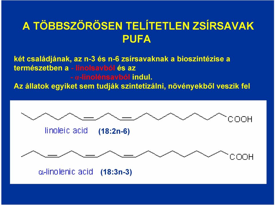 linolsavból és az - α-linolénsavból indul.