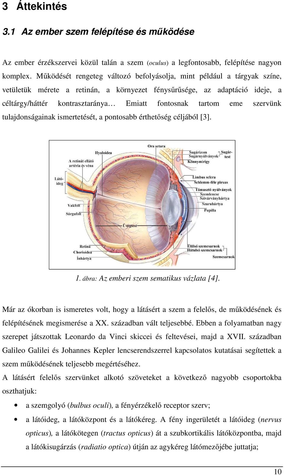 tartom eme szervünk tulajdonságainak ismertetését, a pontosabb érthetőség céljából [3]. 1. ábra: Az emberi szem sematikus vázlata [4].