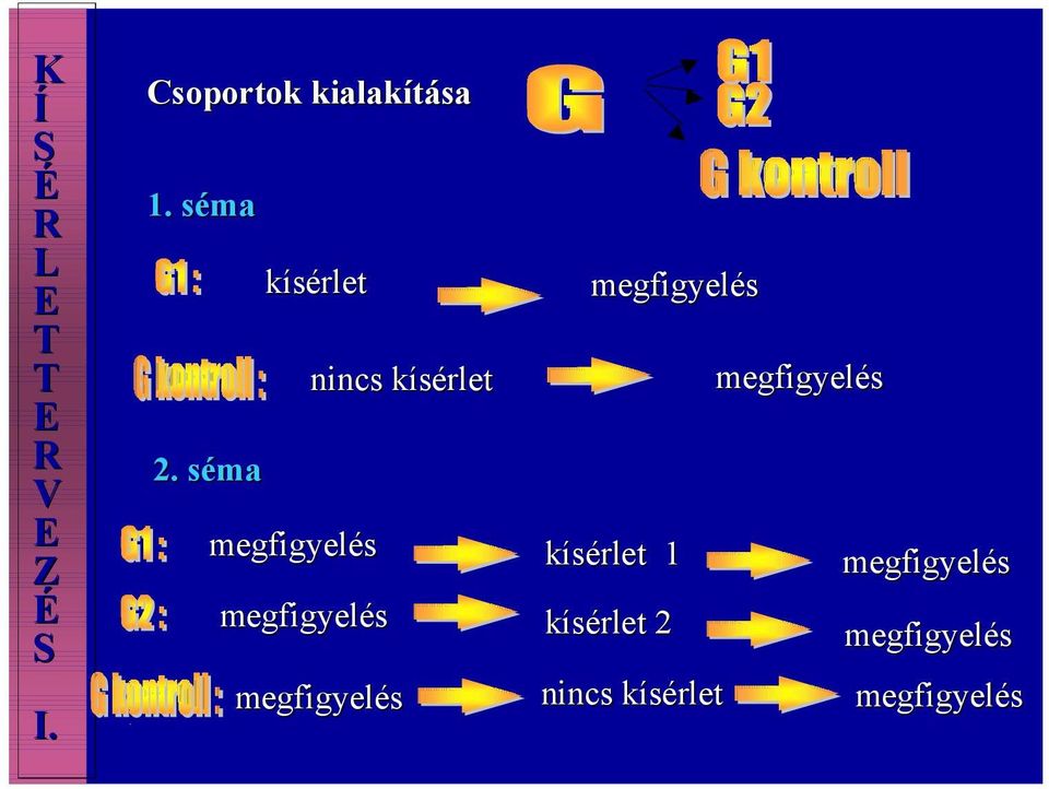 kísérlet ERV 2. séma EZÉ I.