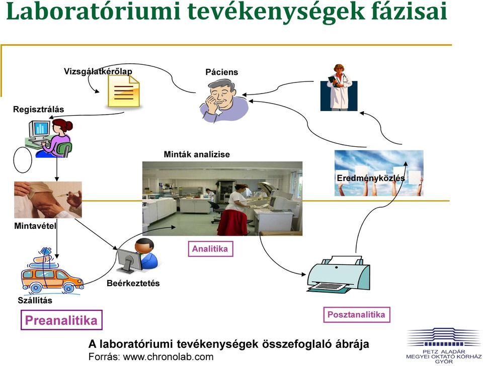 Analitika Beérkeztetés Szállítás Preanalitika Posztanalitika A