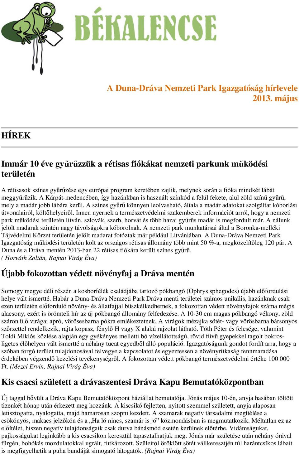 meggyűrűzik. A Kárpát-medencében, így hazánkban is használt színkód a felül fekete, alul zöld színű gyűrű, mely a madár jobb lábára kerül.