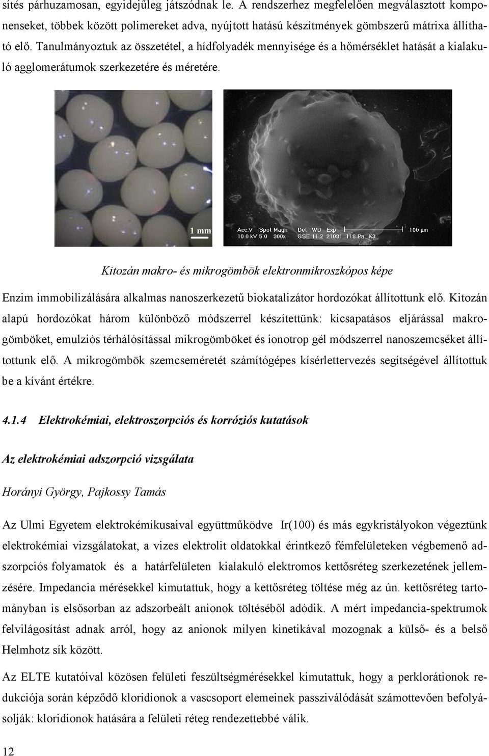 1 mm Kitozán makro- és mikrogömbök elektronmikroszkópos képe Enzim immobilizálására alkalmas nanoszerkezetű biokatalizátor hordozókat állítottunk elő.