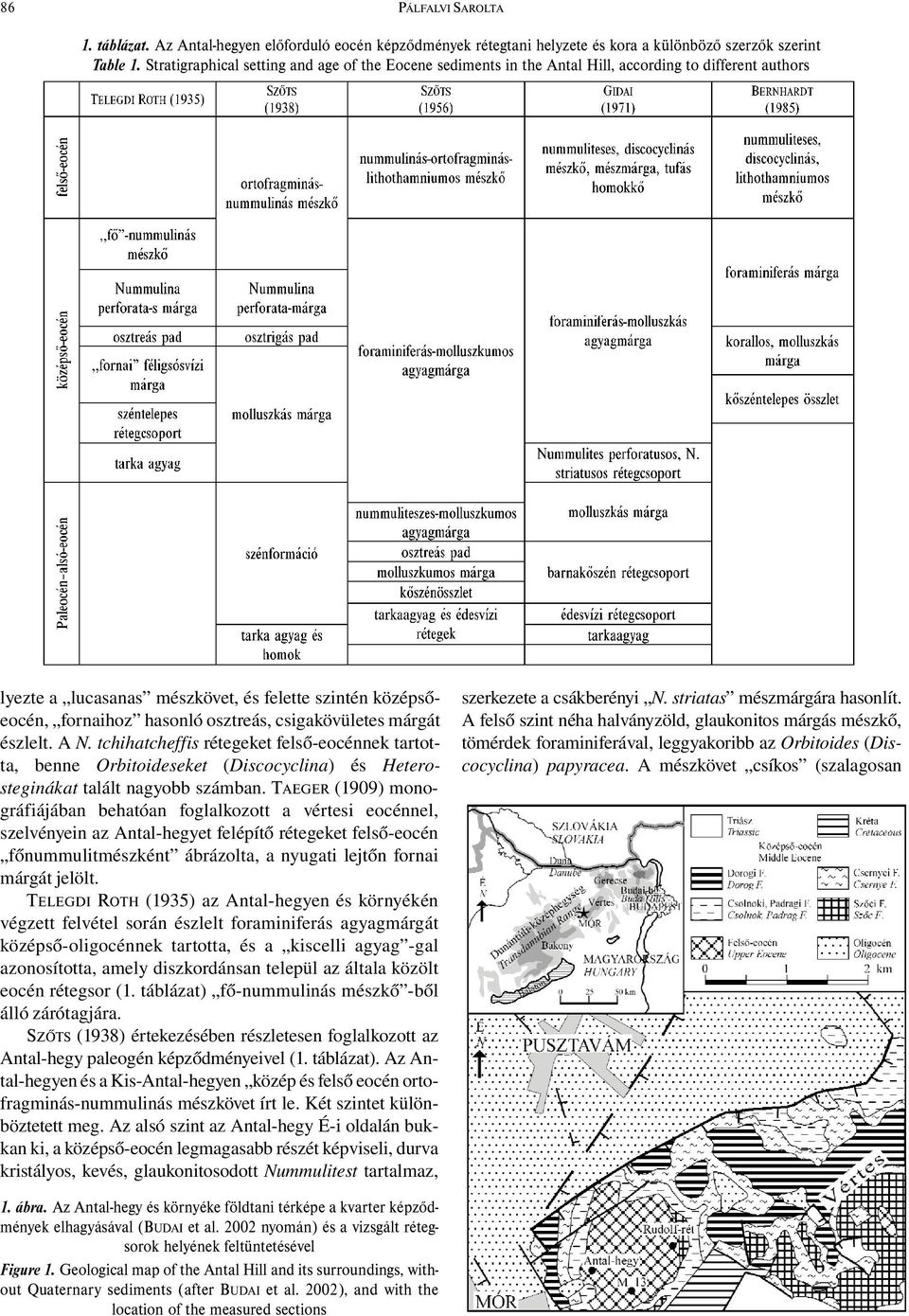 csigakövületes márgát észlelt. A N. tchihatcheffis rétegeket felső-eocénnek tartotta, benne Orbitoideseket (Discocyclina) és Heterosteginákat talált nagyobb számban.