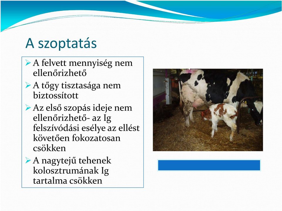 ellenőrizhető az Ig felszívódási esélye az ellést követően