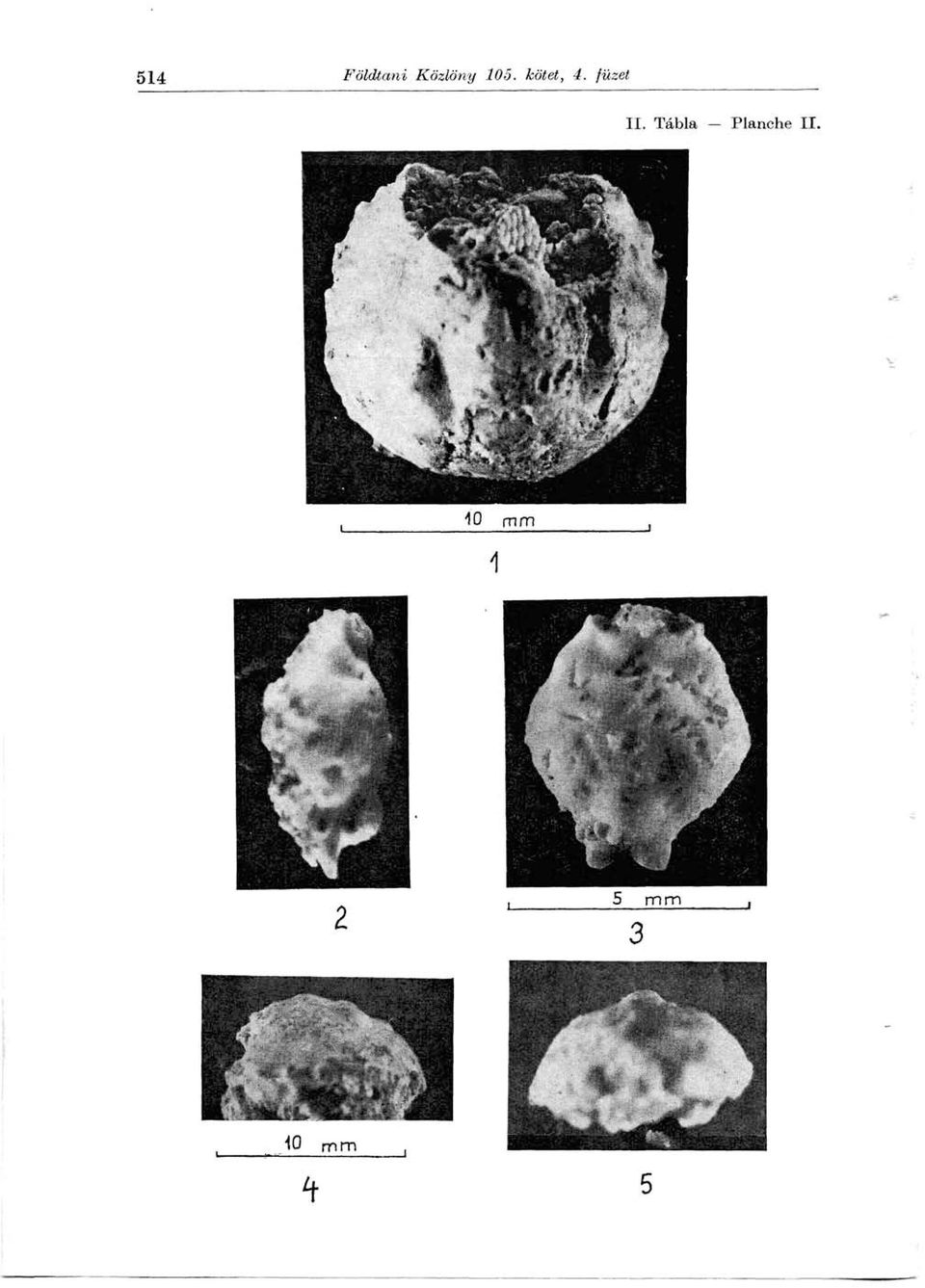 kötet, 4. füzet II.