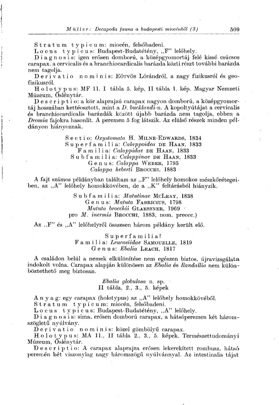 Derivatio nominis: EÖTVÖS Lórándról, a nagy fizikusról és geofizikusról. Holotypus: MF 11. I tábla 5. kép, II tábla 1. kép. Magyar Nemzeti Múzeum, Őslény tár.
