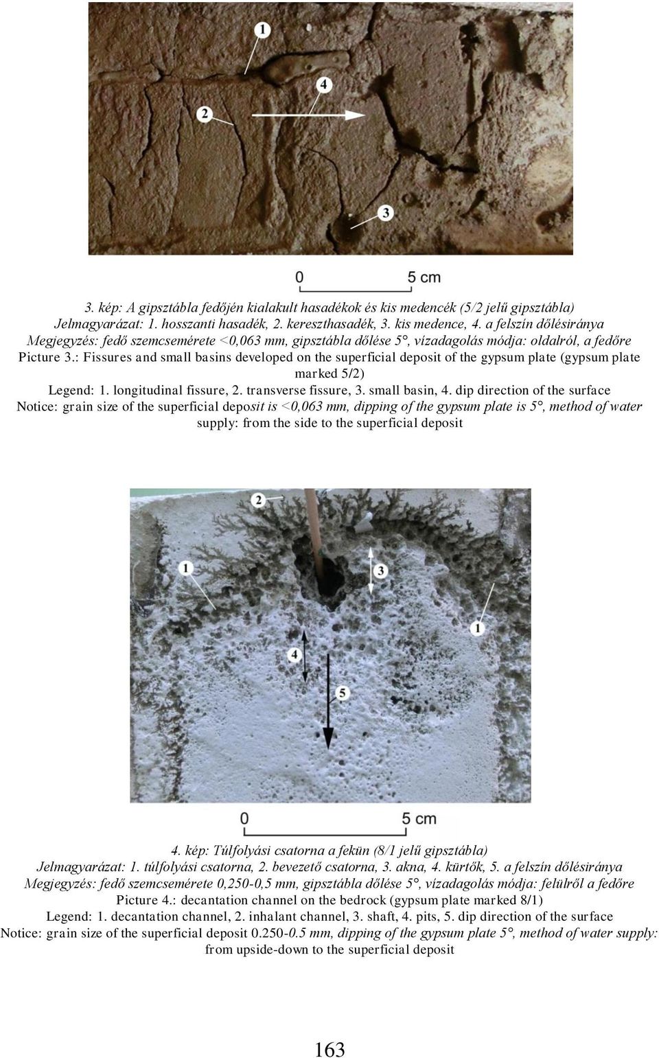 : Fissures and small basins developed on the superficial deposit of the gypsum plate (gypsum plate marked 5/2) Legend: 1. longitudinal fissure, 2. transverse fissure, 3. small basin, 4.