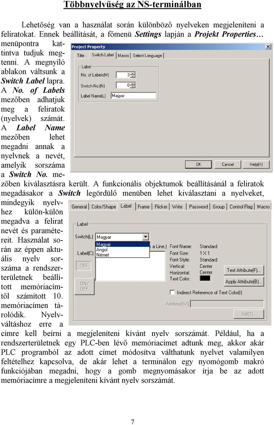 of Labels mezőben adhatjuk meg a feliratok (nyelvek) számát. A Label Name mezőben lehet megadni annak a nyelvnek a nevét, amelyik sorszáma a Switch No. mezőben kiválasztásra került.