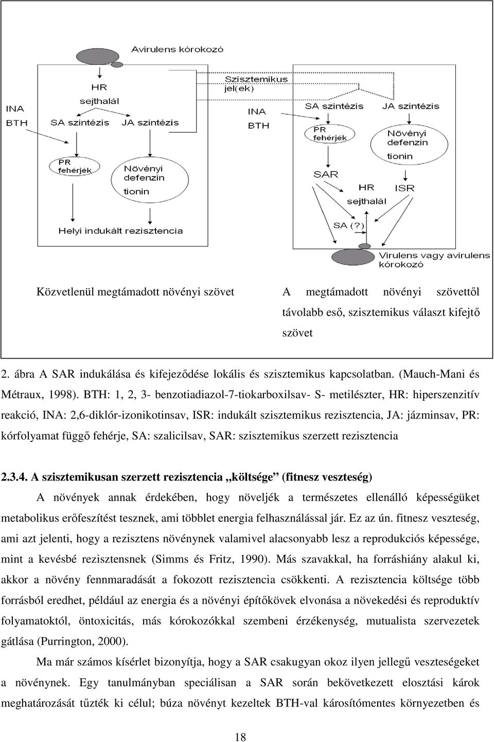 BTH: 1, 2, 3- benzotiadiazol-7-tiokarboxilsav- S- metilészter, HR: hiperszenzitív reakció, INA: 2,6-diklór-izonikotinsav, ISR: indukált szisztemikus rezisztencia, JA: jázminsav, PR: kórfolyamat függı