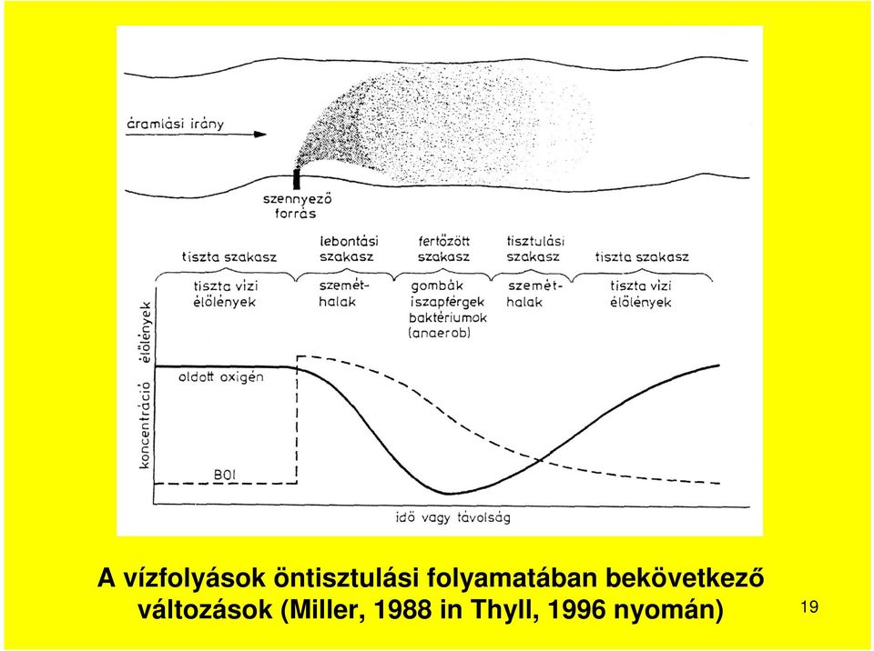 bekövetkező változások