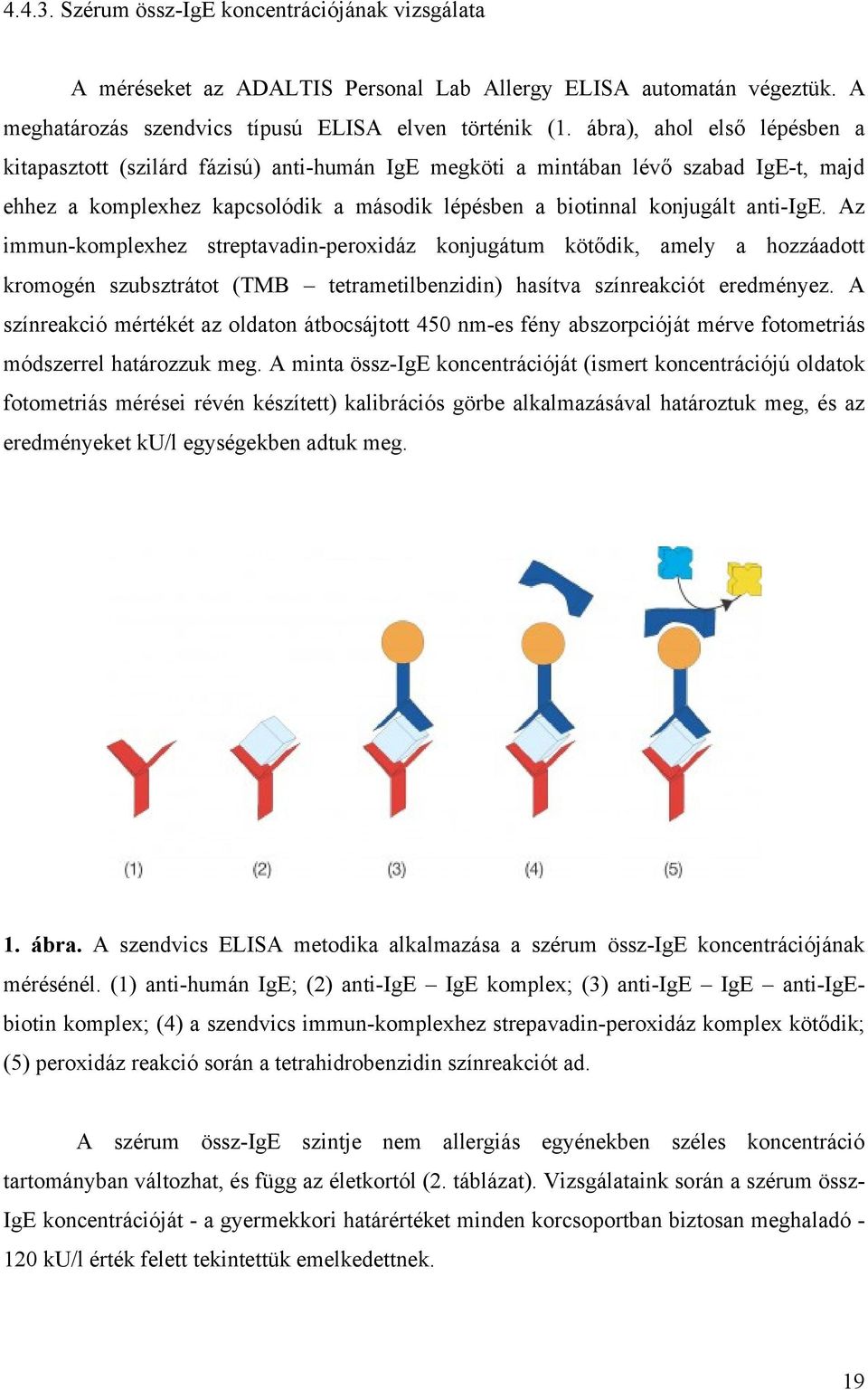 Az immun-komplexhez streptavadin-peroxidáz konjugátum kötődik, amely a hozzáadott kromogén szubsztrátot (TMB tetrametilbenzidin) hasítva színreakciót eredményez.