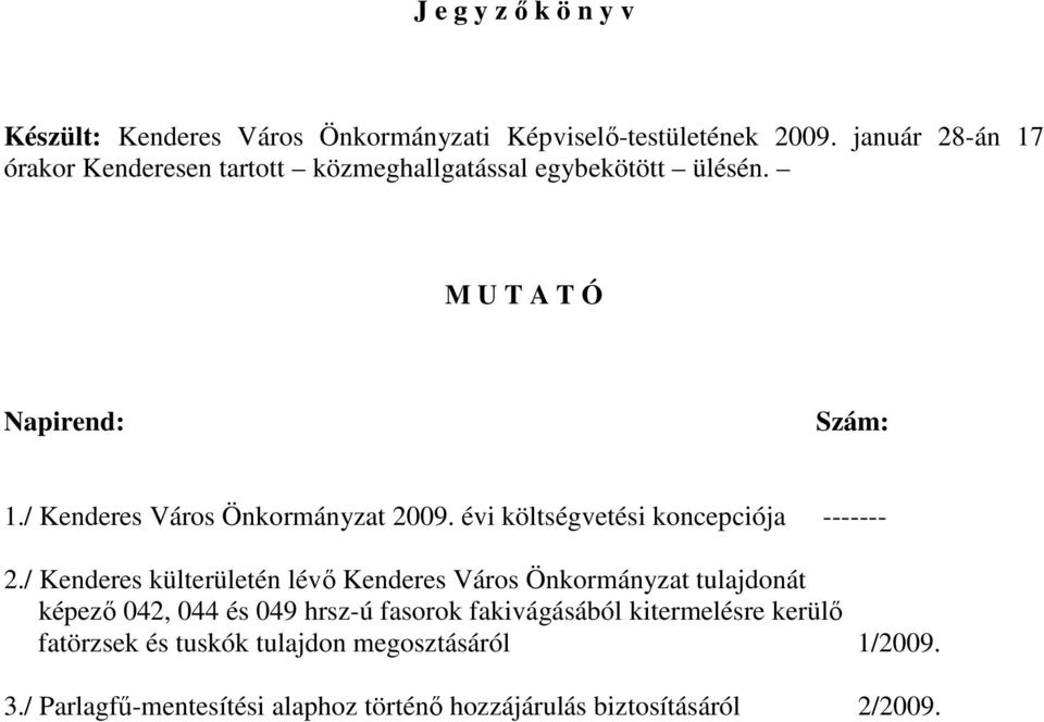 / Kenderes Város Önkormányzat 2009. évi költségvetési koncepciója ------- 2.