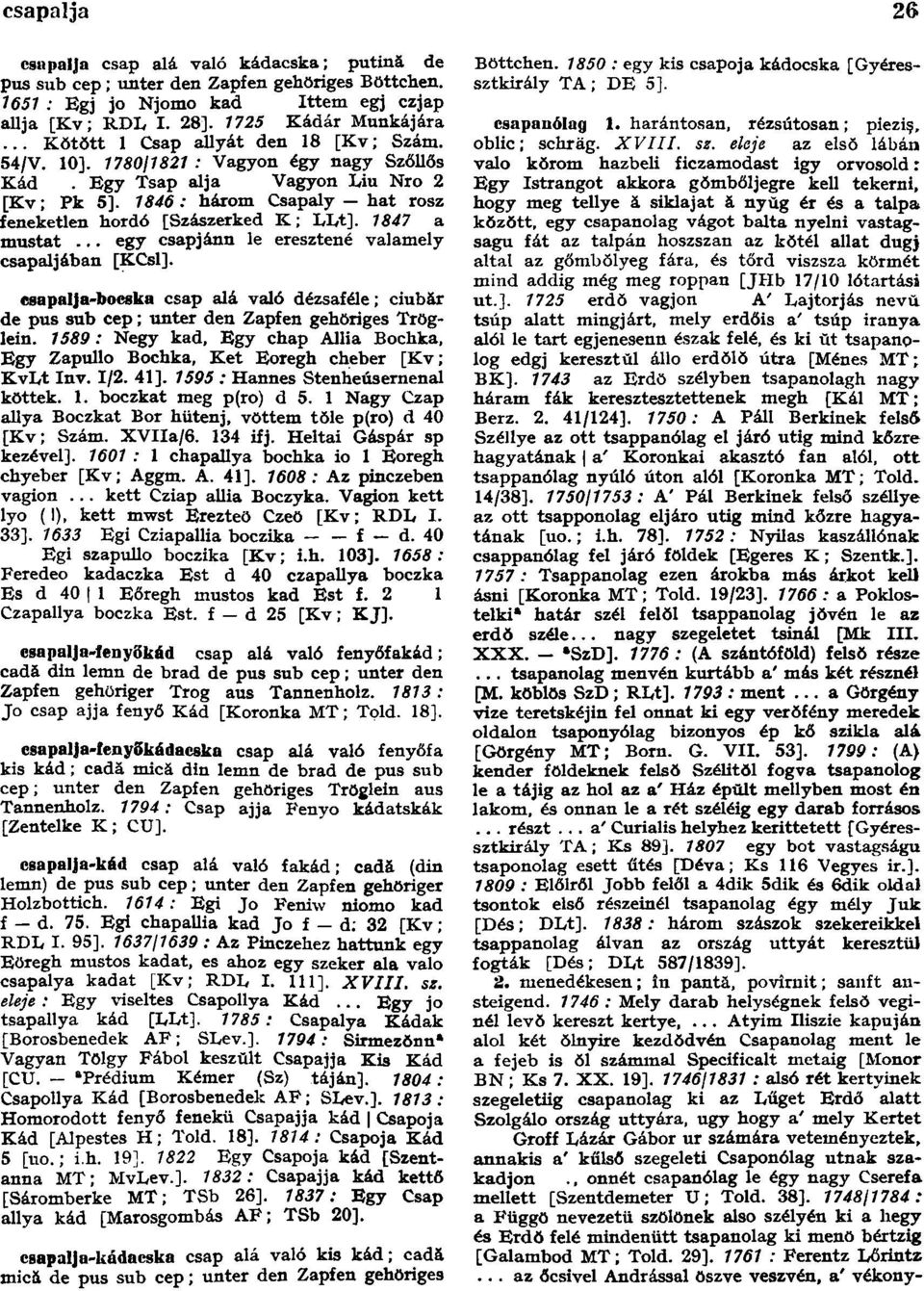 1846 : három Csapaly hat rosz feneketlen hordó [Szászerked K; LLt]. 1847 a mustat... egy csapj ánn le eresztené valamely csapaljában [KCsl].