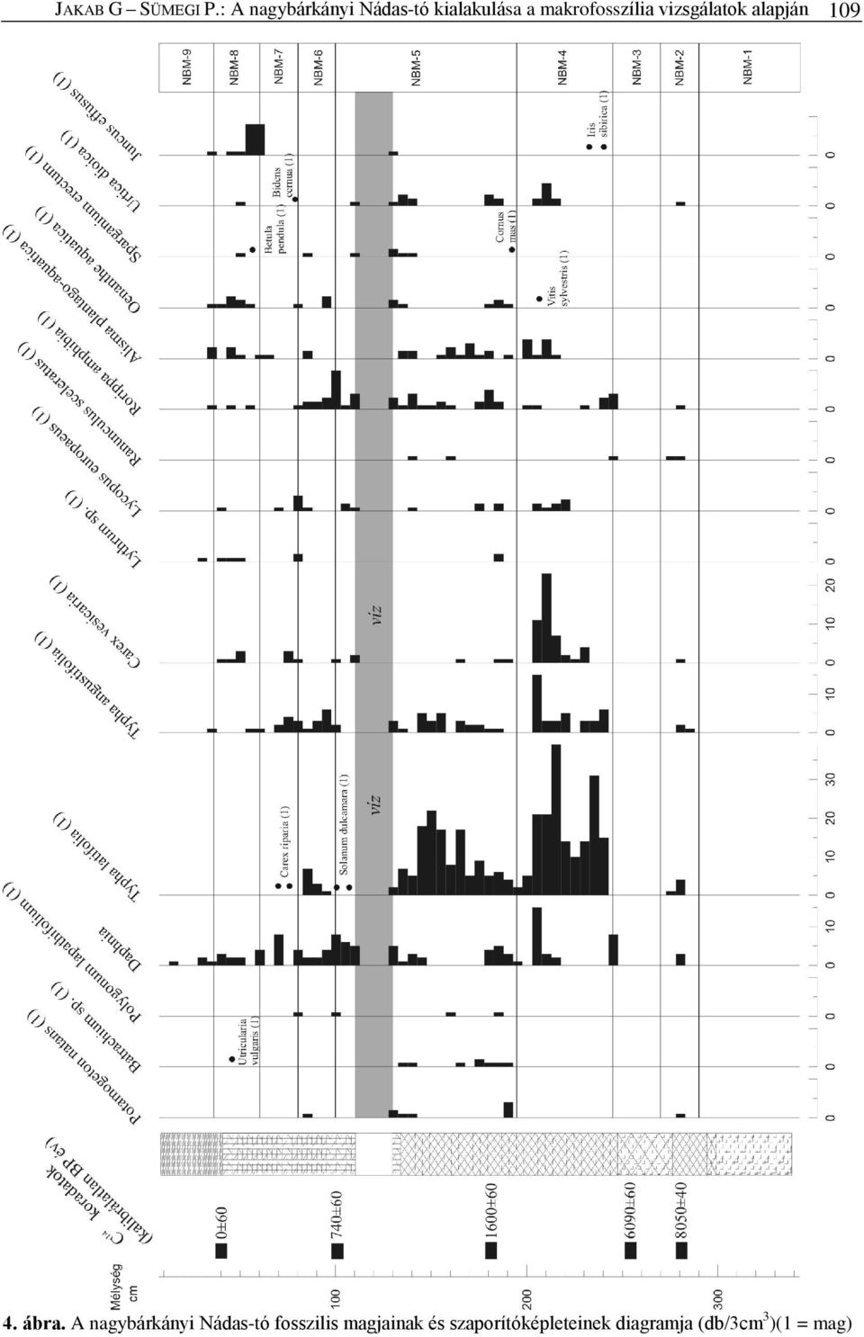 makrofosszília vizsgálatok alapján 109 4. ábra.