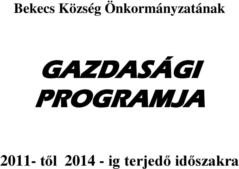 GAZDASÁGI PROGRAMJA