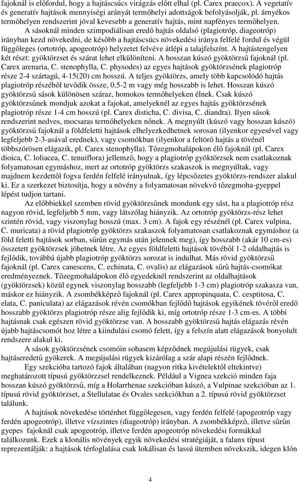 A sásoknál minden szimpodiálisan eredő hajtás oldalsó (plagiotróp, diageotróp) irányban kezd növekedni, de később a hajtáscsúcs növekedési iránya felfelé fordul és végül függőleges (ortotróp,