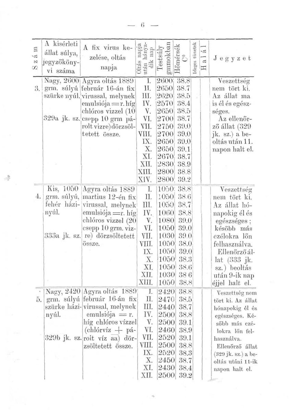 híg chlóros vizzel (20 csepp 10 grm. vízre) dörzsöltetett Agyra oltás 1889 február 16-án fix vírussal, melynek emuisiója r.