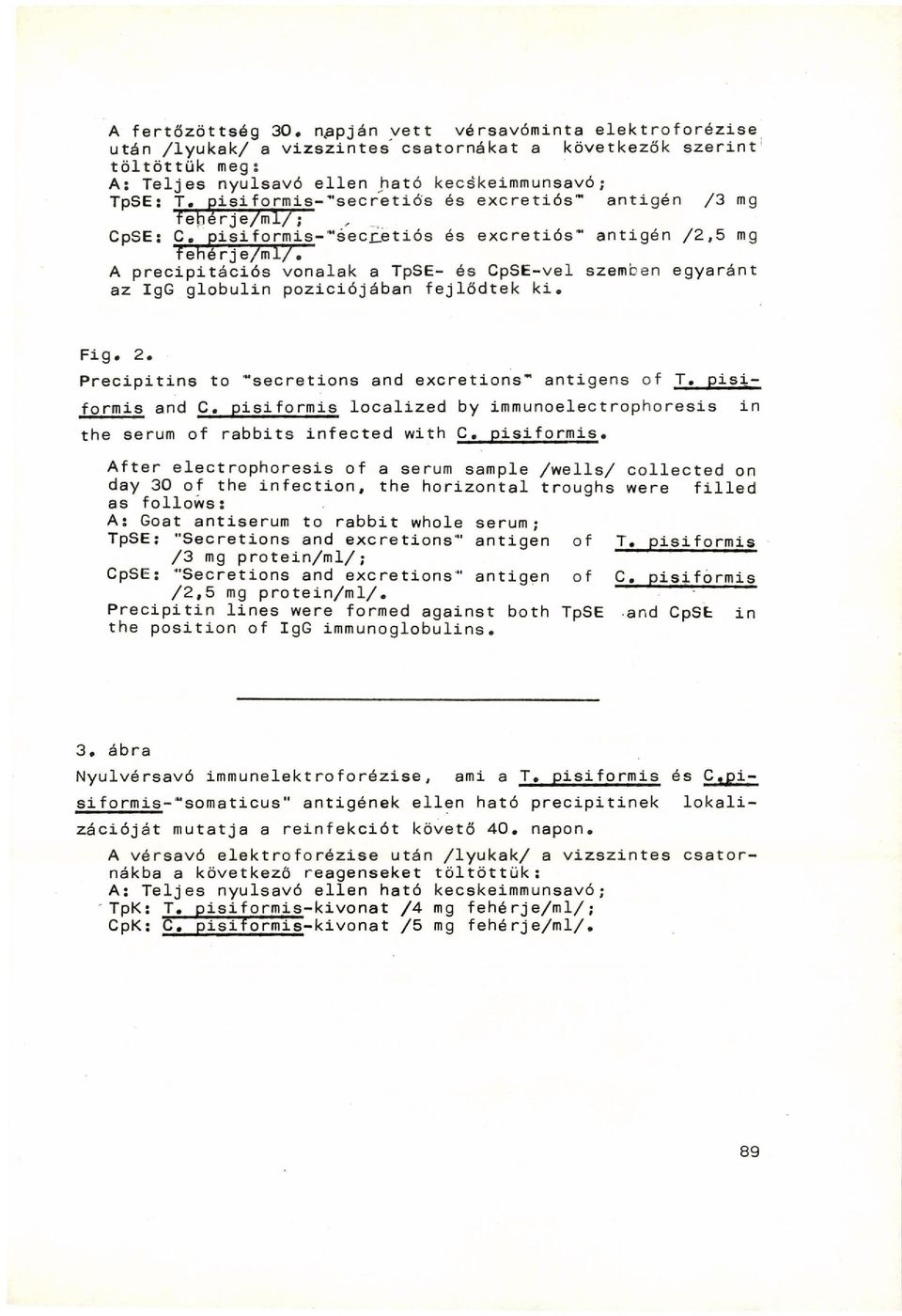 A precipitációs vonalak a TpSE- és CpSE-vel szemben egyaránt az IgG globulin pozíciójában fejlődtek k i. Fig. 2. Precipitins to "secretions and excretions" antigens of T. pisi- formis and C.