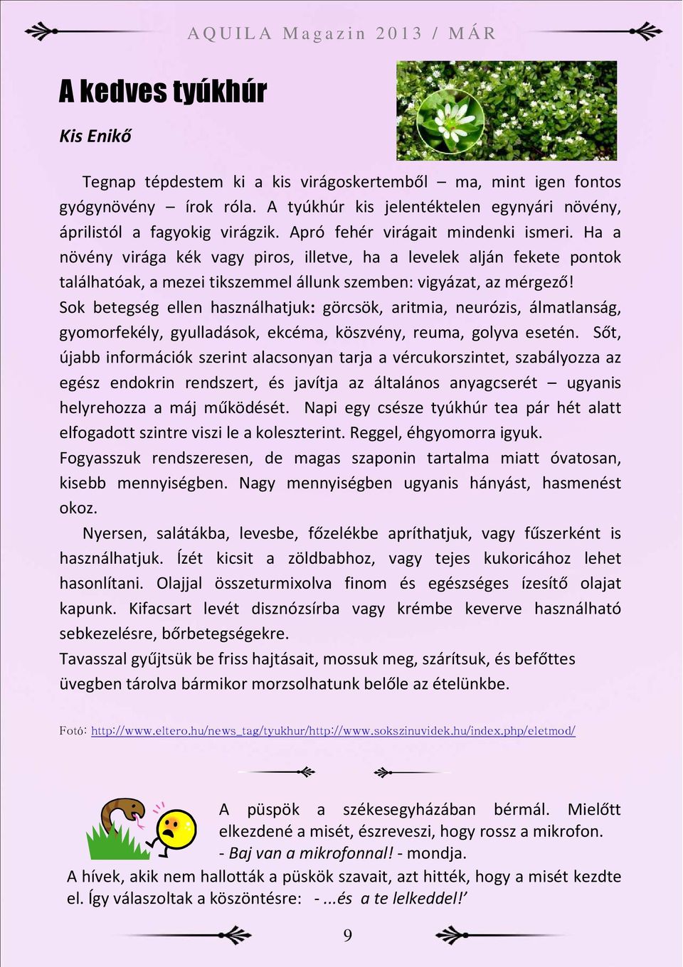 Ha a növény virága kék vagy piros, illetve, ha a levelek alján fekete pontok találhatóak, a mezei tikszemmel állunk szemben: vigyázat, az mérgező!