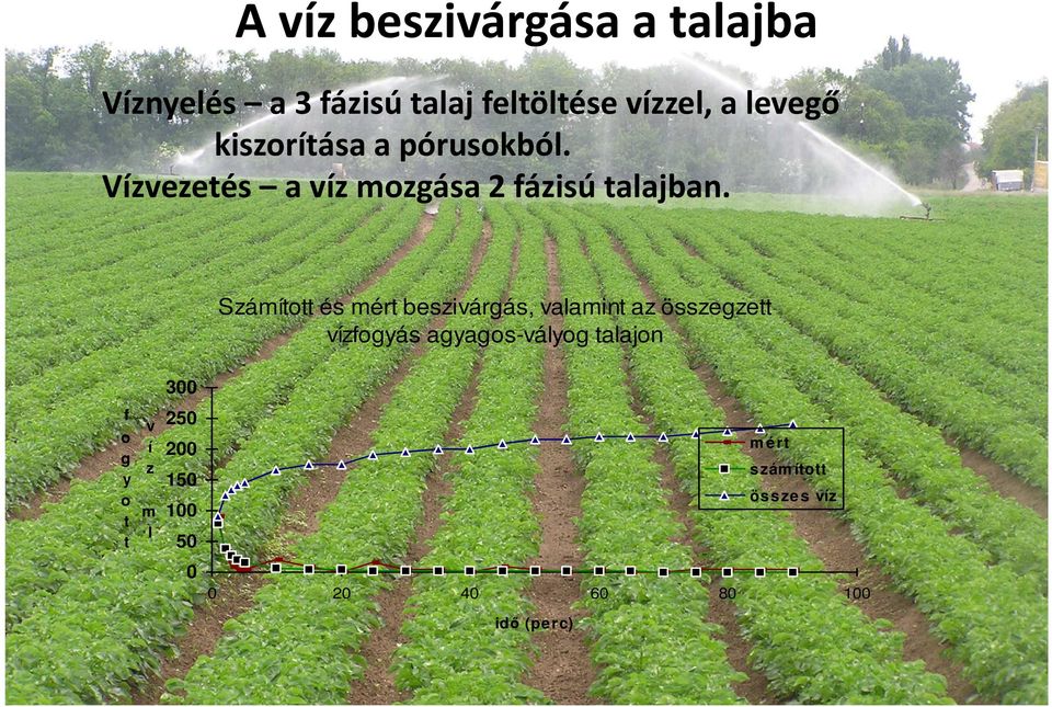 Számított és mért beszivárgás, valamint az összegzett vízfogyás agyagos-vályog talajon