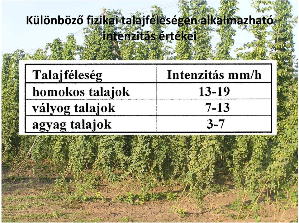 talajféleségen