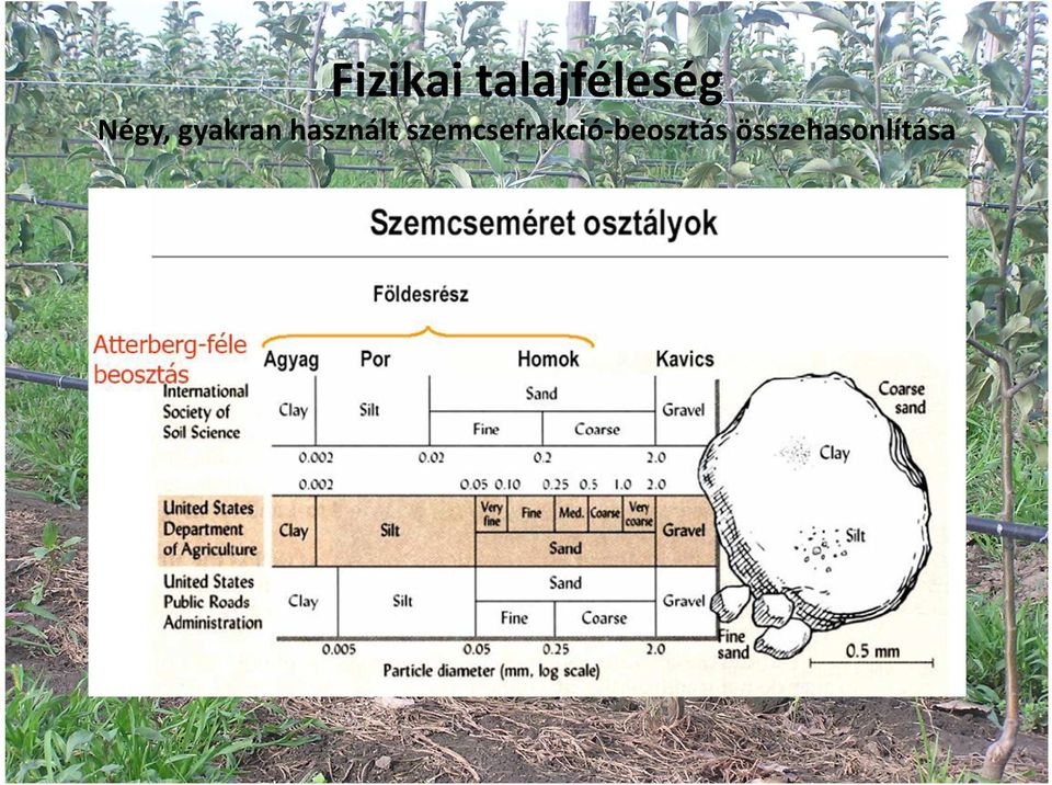 használt