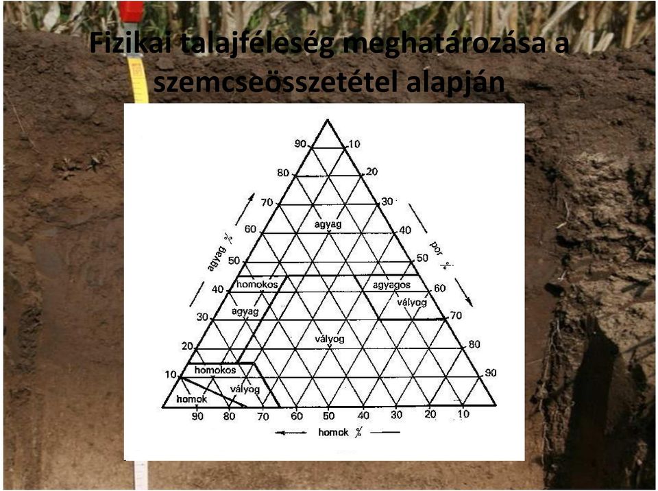 meghatározása a