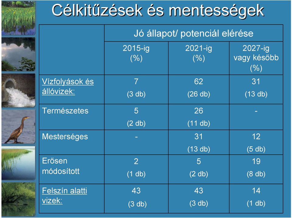 db) Természetes 5 26 - (2 db) (11 db) Mesterséges - 31 12 (13 db) (5 db) Erősen