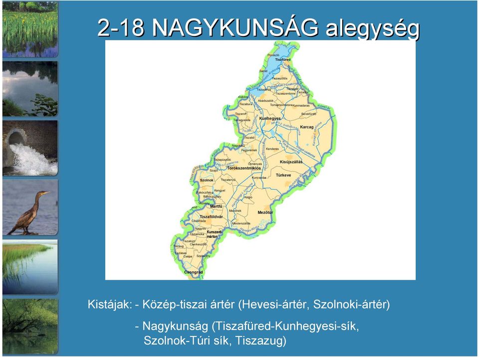 Szolnoki-ártér) - Nagykunság