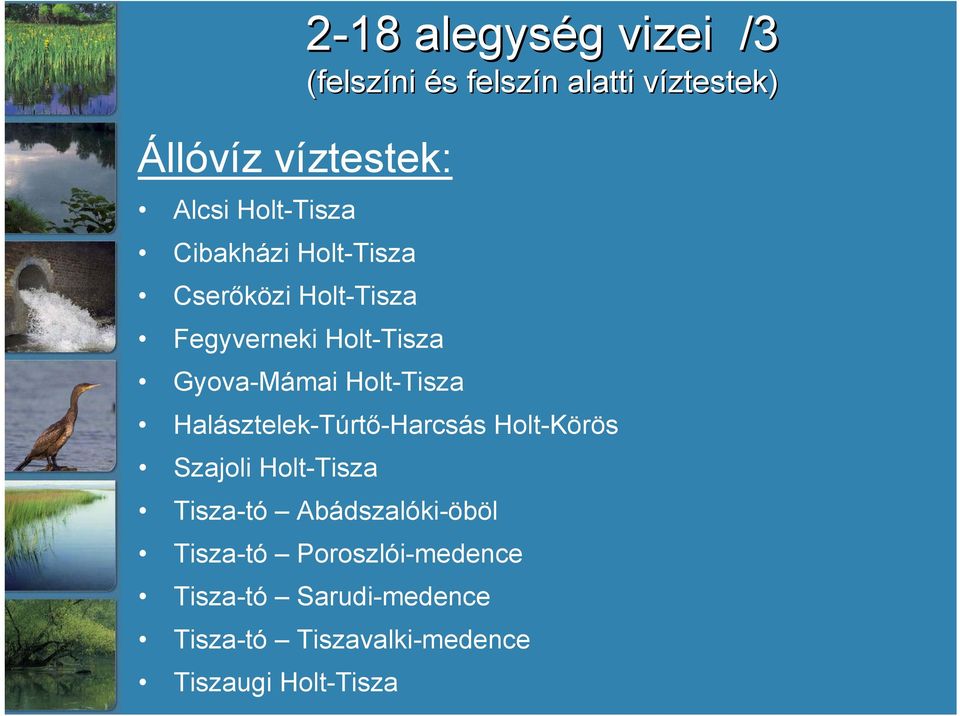 Holt-Tisza Halásztelek-Túrtő-Harcsás Holt-Körös Szajoli Holt-Tisza Tisza-tó Abádszalóki-öböl