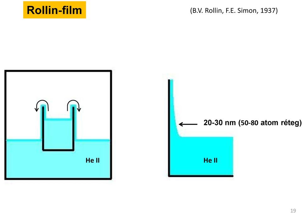 Simon, 1937) 20-30 nm