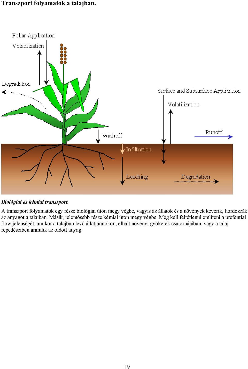 hordozzák az anyagot a talajban. Másik, jelentősebb része kémiai úton megy végbe.