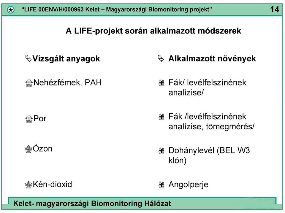 levélfelszínének analízise/ Por Ózon Fák /levélfelszínének