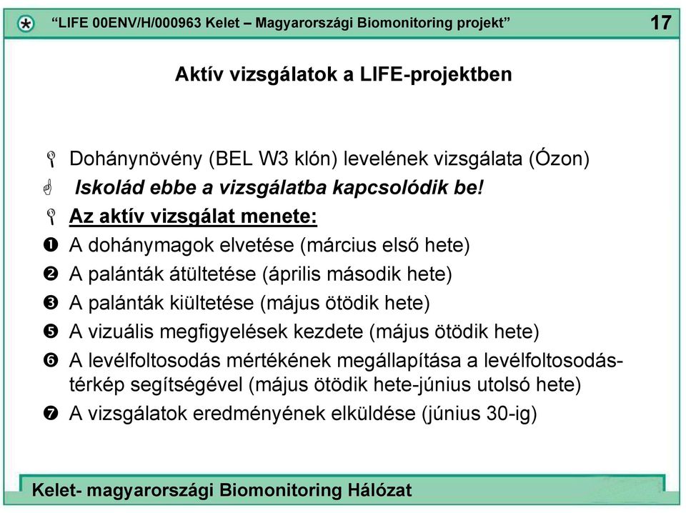 Az aktív vizsgálat menete: A dohánymagok elvetése (március első hete) A palánták átültetése (április második hete) A palánták