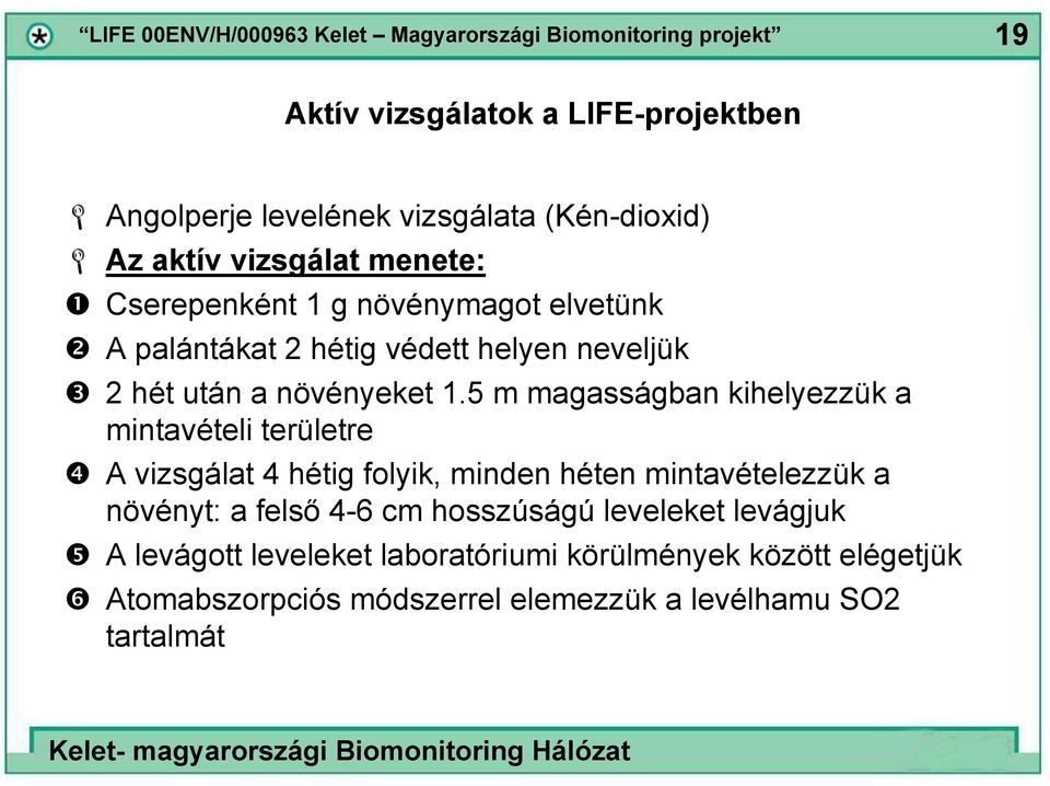 5 m magasságban kihelyezzük a mintavételi területre A vizsgálat 4 hétig folyik, minden héten mintavételezzük a növényt: a felső