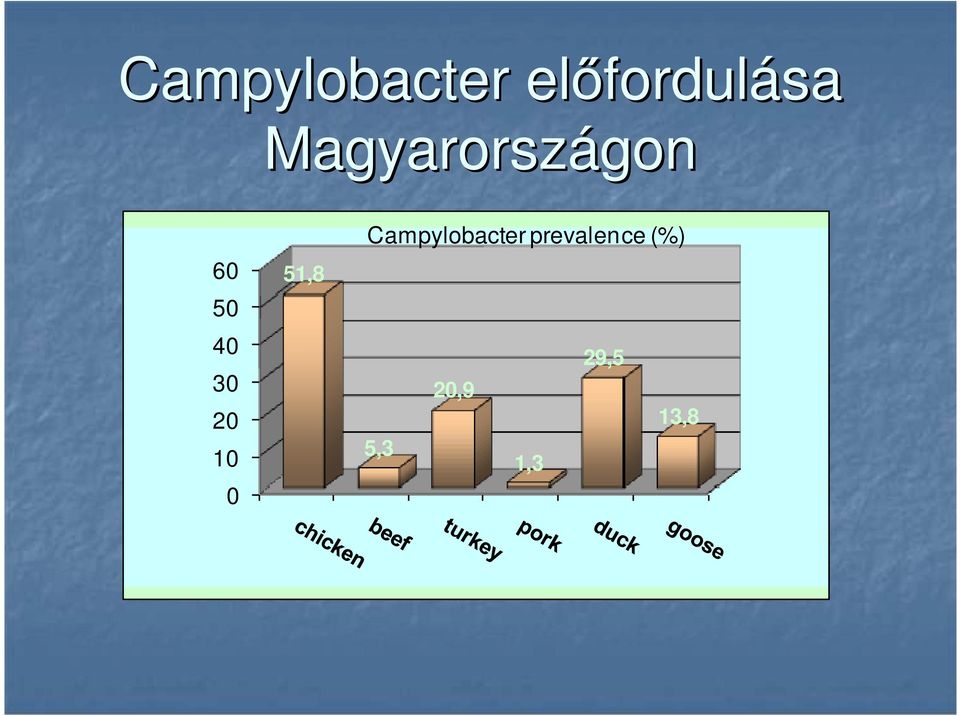 Campylobacter prevalence (%) 60