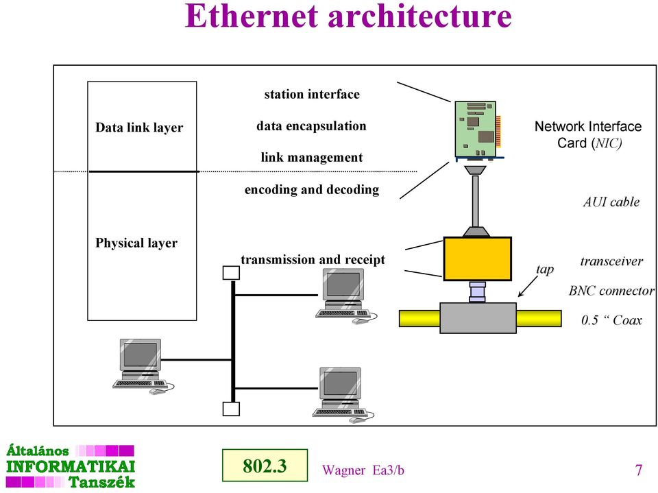 Interface Card (NIC) AUI cable Physical layer transmission and