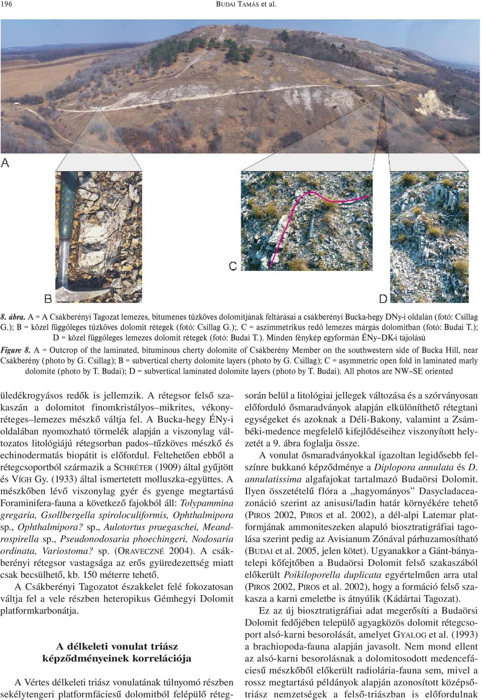 A = Outcrop of the laminated, bituminous cherty dolomite of Csákberény Member on the southwestern side of Bucka Hill, near Csákberény (photo by G.