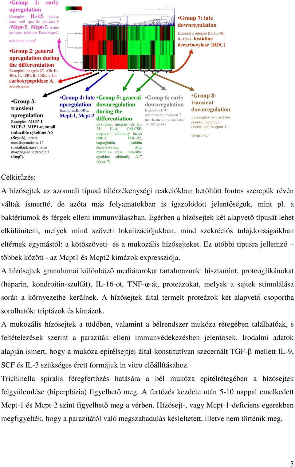 (Scya6), matrix metalloproteinase 12 (metalloelastase), bone morphogenetic protein 7 (Bmp7).